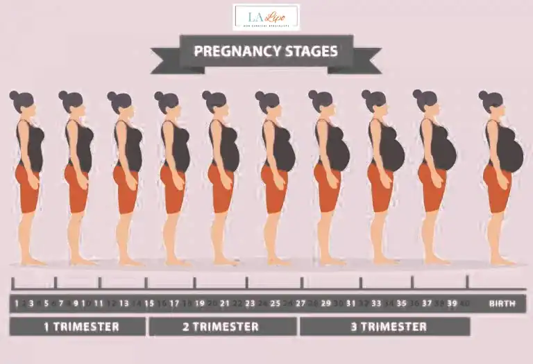 First Trimester (Weeks 1–12): Early Changes You Might Not Notice Avon